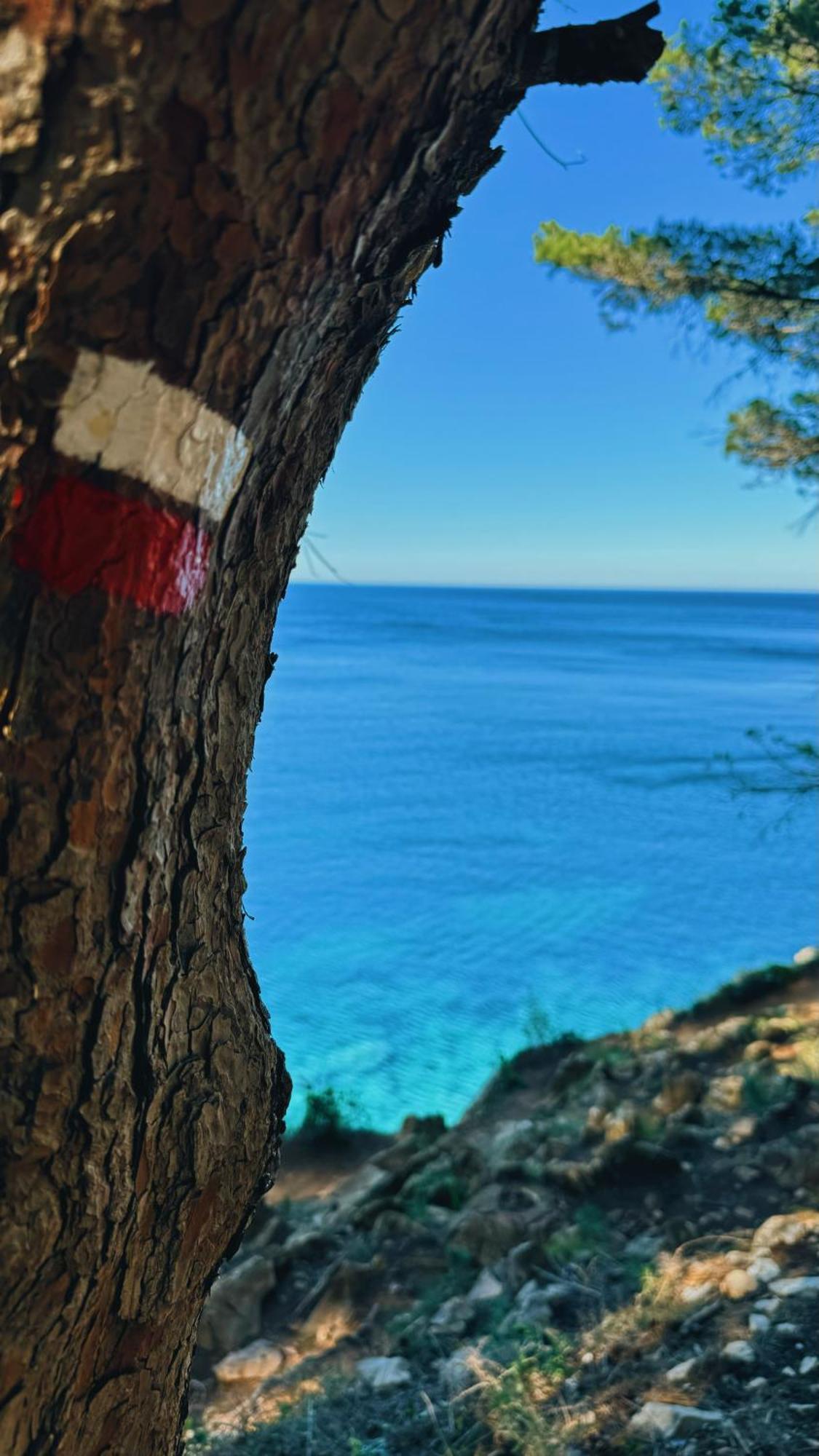 Can Romy Appartement T2F A 20M De La Plage De Cala Montgo L' Escala Exterior foto